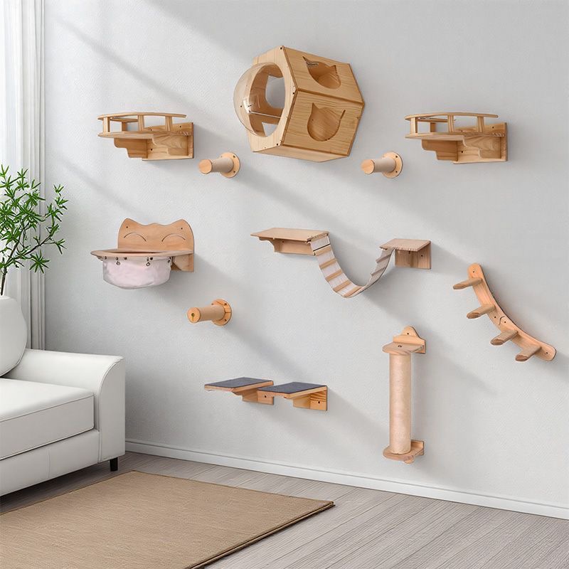 Cat Furniture Solid Wooden Sus - Furniture Paradise & Hardware Ghaziabad Reviews 评论和价格